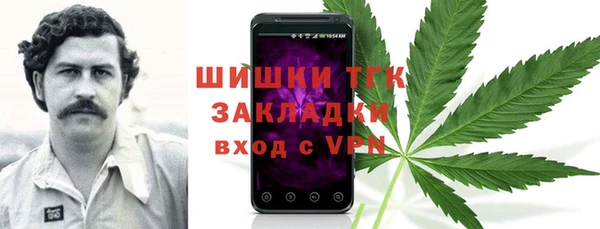 молекула духа Володарск