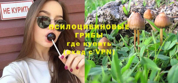 молекула духа Володарск