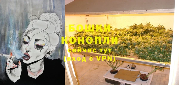 молекула духа Володарск