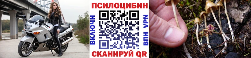 Псилоцибиновые грибы Psilocybine cubensis  Купить  Билибино 